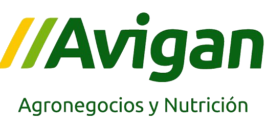 Avigan