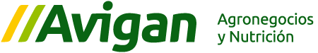 Avigan