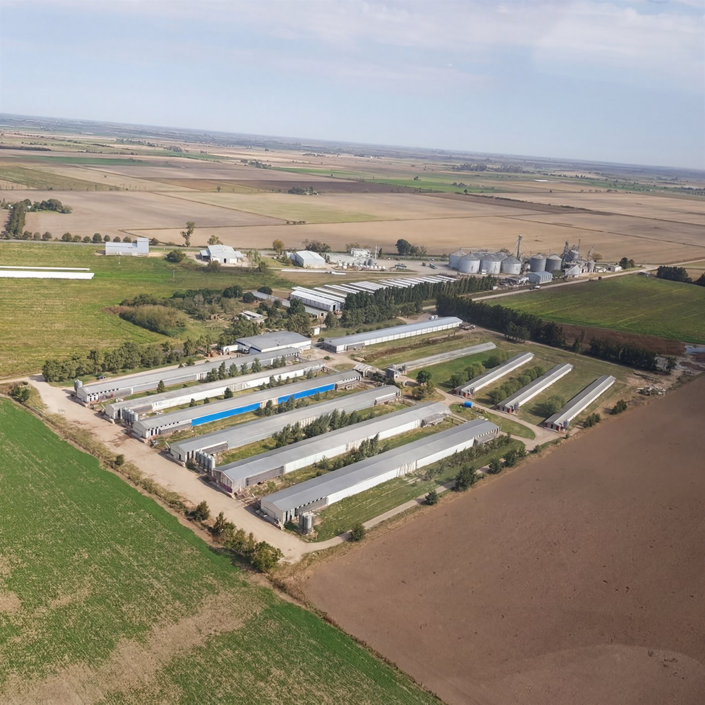 Vista aérea del complejo productivo avícola del Grupo CEM en Humboldt, Santa Fe